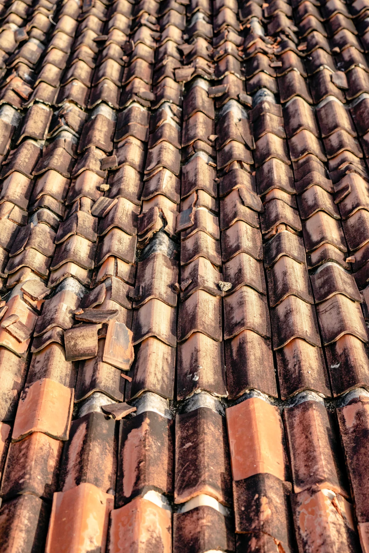 Weathered roof tiles photographed close up